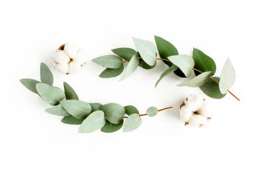 Okaliptüs dallarından, yapraklardan ve beyaz arka planda izole edilmiş pamuktan yapılmış çelenk çerçevesi. düz yatış, üst görünüm