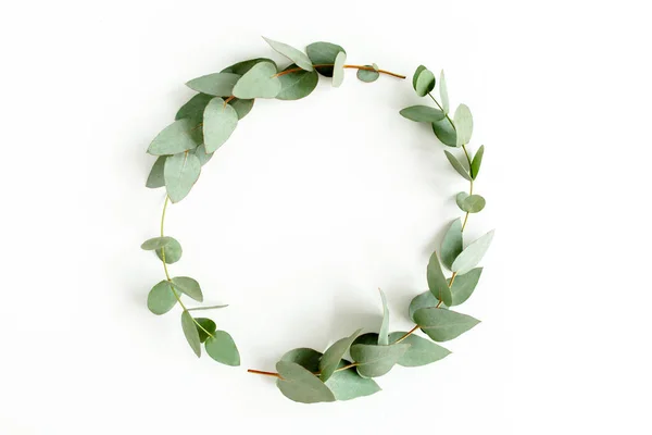 Wreath made of branches eucalyptus, leaves isolated on white background. Flat lay, top view. floral concept — Stock Photo, Image