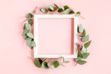 Beyaz fotoğraf çerçevesi ve okaliptüs yaprakları pembe arka planda izole edilmiş. Düz konum, metin için boş yer ile üst görünüm minimal konsept.