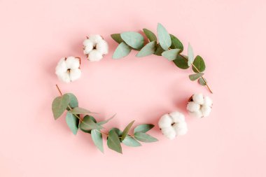 Çiçek bileşimi, okaliptüs dallarından yapılmış çelenk, pembe arka planda izole edilmiş yapraklar ve pamuk. Düz bir zemin, üst manzara. Çiçek konsepti