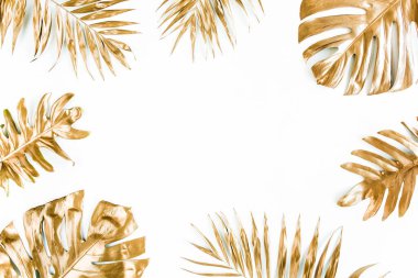 Altın tropikal palmiye beyaz arka planda Canavar bırakır. Düz konum, üst görünüm minimum konsept.