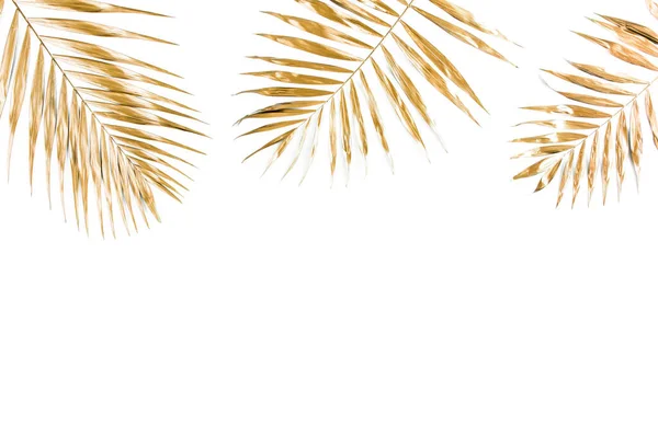 Folhas de palmeira tropical dourada sobre fundo branco. Flat lay, vista superior conceito mínimo. — Fotografia de Stock