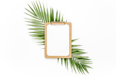 Pano, palmiye yaprağı, bir fincan kahve ve klipsli maket. Düz yatış, üst görünüm