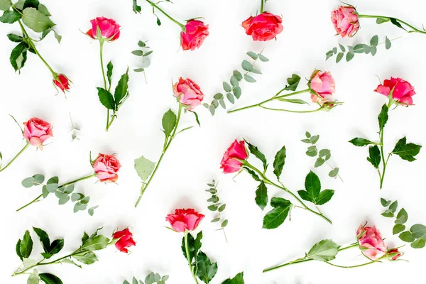 Piros rózsákból és eukaliptusz ágakból álló virágminta fehér alapon. Valentin-napi háttér. Virágminta. Lapos fekvésű, felülnézet. — Stock Fotó