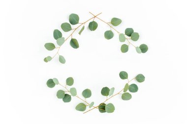 Okaliptüsten yapılmış çelenk çerçevesi ve beyaz arka planda izole edilmiş yapraklar. Düz uzan, üst görünüm