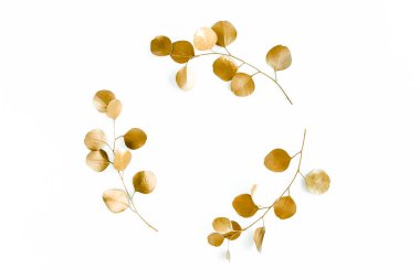 Altın dallardan yapılmış altın yuvarlak çerçeve okaliptüs ve beyaz arka planda izole edilmiş yapraklar. Düz uzan, üst görünüm