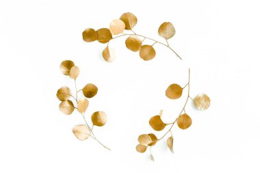 Altın dallardan yapılmış altın yuvarlak çerçeve okaliptüs ve beyaz arka planda izole edilmiş yapraklar. Düz uzan, üst görünüm