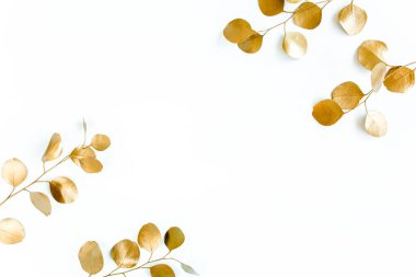 Altın dalların sınırlarında, okaliptüs yaprakları beyaz arkaplanda. düz düzen, üst görünüm