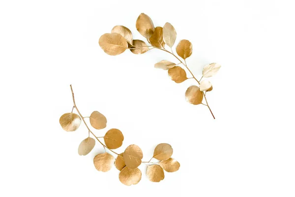 Χρυσό στρογγυλό πλαίσιο από χρυσά κλαδιά ευκαλύπτου και φύλλα που απομονώνονται σε λευκό φόντο. lay επίπεδη, πάνω όψη — Φωτογραφία Αρχείου