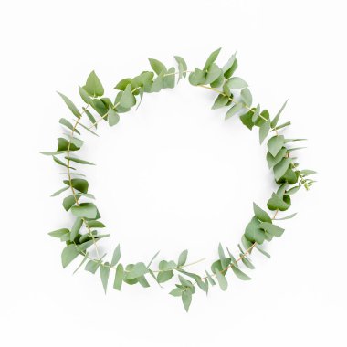 Beyaz arka planda izole edilmiş okaliptüs dallarından yapılmış çelenk çerçevesi. Düz uzan, üst görünüm