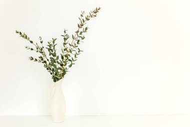 Okaliptüs dalları, arka plandaki masanın üzerinde vazoda. Ev dekoru. Günlük, web sitesi veya sosyal medya kavramı