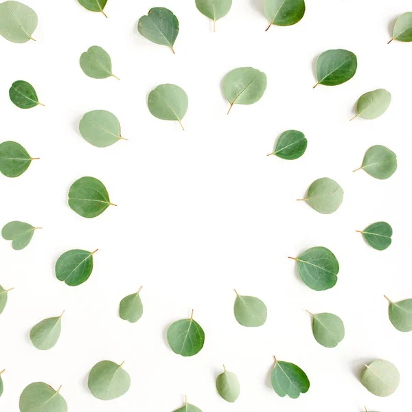 Rund ram arbetsyta med gröna blad eukalyptus populus isolerad på vit bakgrund. låg platt, ovanifrån — Stockfoto