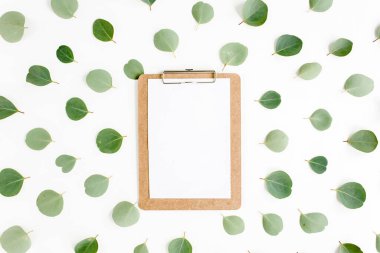 Beyaz arkaplanda yeşil yapraklı okaliptüs izole edilmiş pano çalışma alanı. Düz uzan, üst görünüm