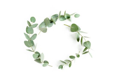 Okaliptüsten yapılmış çelenk çerçevesi ve beyaz arka planda izole edilmiş yapraklar. Düz yatıyordu. Üst görünüm.