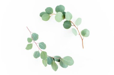 Okaliptüsten yapılmış çelenk çerçevesi ve beyaz arka planda izole edilmiş yapraklar. Düz yatıyordu. Üst görünüm.