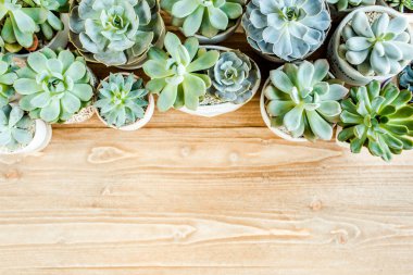 Çiçek çerçevesi, ahşap arka planda en az yaratıcı böğürtlen düzenleme desenine sahip. Düz yatış, üst manzara. Noel arkaplan duvar kağıdı.