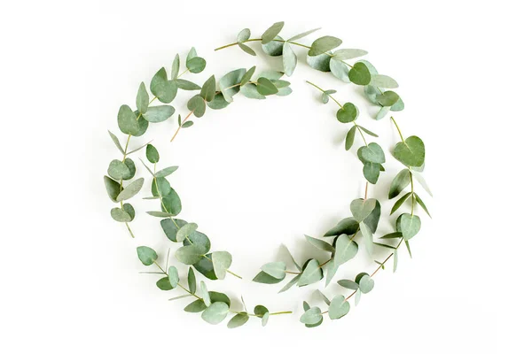 Wreath frame made of branches eucalyptus and leaves isolated on white background. Flat lay. Top view. — Stock Photo, Image