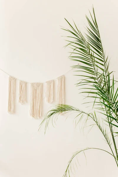 热带棕榈在家里的花盆白色背景。现代简约的内部与家庭植物。平面布局，顶视图最小概念. — 图库照片