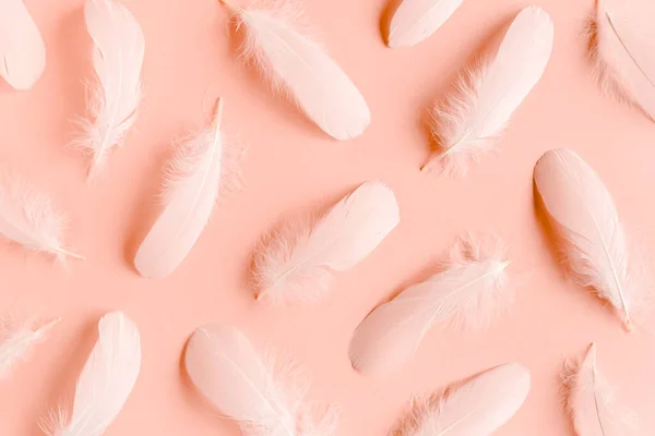 White feather texture on a pink background. Feather background. Flat lay, top view
