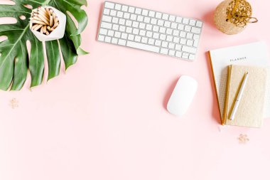 Ev ofisinin masası düzdü. Bilgisayarlı kadın çalışma alanı, tropikal palmiye yaprakları, pembe arka planda aksesuarlar. Üst görünüm arkaplanı. 