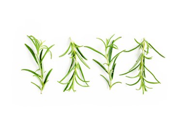 Yeşil dal ve biberiye yaprakları beyaz arka planda izole edilmiş. Bitkiler. Düz yatıyordu. Üst görünüm