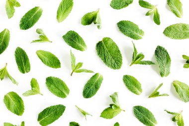 Nane yaprakları beyaz arka planda izole. Nane şekeri seti. Darphane deseni. Düz yatıyordu. Üst görünüm.