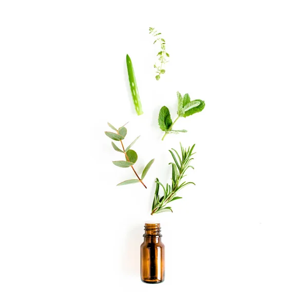 精油とハーブの混合物,緑の枝,ユーカリの葉,アロエベラ,ローズマリー,白い背景にタイム.平置きだ。トップ表示. — ストック写真
