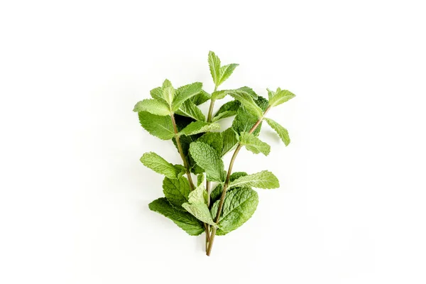 Ramo verde e foglia Menta isolata su sfondo bianco. Set di menta piperita. Schema della menta. Piatto. Vista dall'alto. — Foto Stock