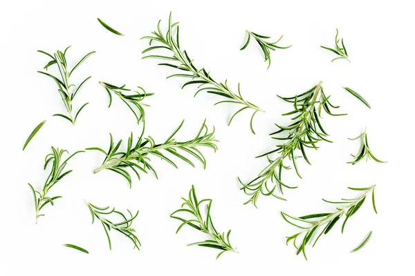 Yeşil dal ve biberiye yaprakları beyaz arka planda izole edilmiş. Bitkiler. Düz yatıyordu. Üst görünüm