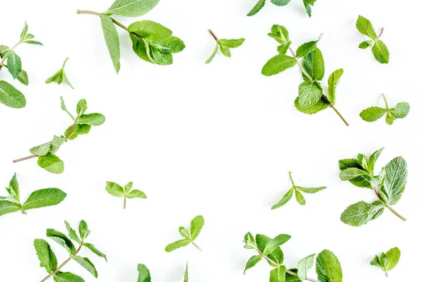 Frame made of mint leaves isolated on white background. Set of peppermint. Mint Pattern. Flat lay. Top view. — Stock Photo, Image