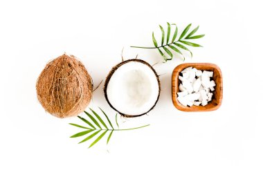 Beyaz arka planda hindistan cevizi ve tropikal palmiye yapraklı desen. Tropik soyut arka plan. Düz yatış, üst görünüm.