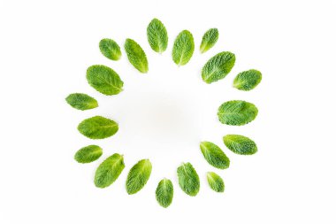 Beyaz arka planda izole edilmiş nane yapraklarından yapılmış çelenk çerçevesi. Nane şekeri seti. Darphane deseni. Düz yatıyordu. Üst görünüm.