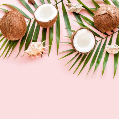 Kalıp, hindistan cevizli doku ve pembe arka planda tropikal palmiye yaprakları. Tropik soyut arka plan. Düz yatış, üst görünüm.