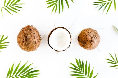 Beyaz arka planda hindistan cevizi ve tropikal palmiye yapraklı desen. Tropik soyut arka plan. Düz yatış, üst görünüm.