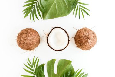 Beyaz arka planda, hindistan cevizi ve tropikal palmiye yapraklarıyla çerçevelenmiş desen. Tropik soyut arka plan. Düz yatış, üst görünüm.