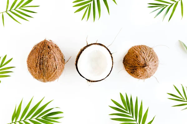 Beyaz arka planda hindistan cevizi ve tropikal palmiye yapraklı desen. Tropik soyut arka plan. Düz yatış, üst görünüm.