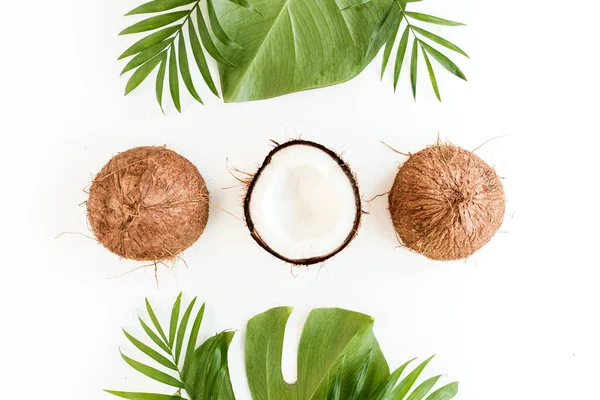 Beyaz arka planda, hindistan cevizi ve tropikal palmiye yapraklarıyla çerçevelenmiş desen. Tropik soyut arka plan. Düz yatış, üst görünüm.