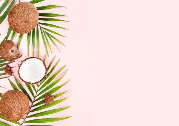 Kalıp, çerçeve kenarları, hindistan cevizi ve pembe arka planda tropik palmiye yaprakları. Tropik soyut arka plan. Düz yatış, üst görünüm.