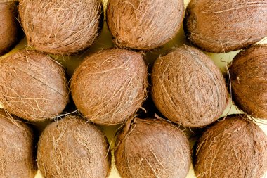 Beyaz arka planda hindistan cevizi deseni. Tropik soyut arka plan. Düz yatış, üst görünüm.