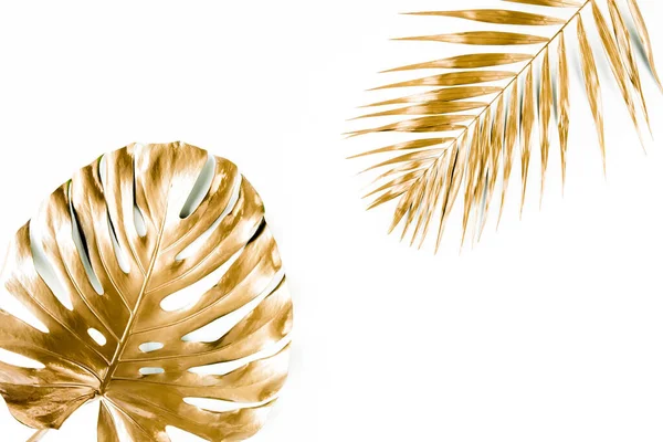 Feuilles de palmier tropicales dorées Monstera sur fond blanc. Pose plate, vue du dessus concept minimal. — Photo