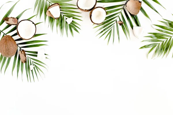 Hoja de palma verde tropical y coco agrietado sobre fondo blanco. Concepto de naturaleza. plano, vista superior — Foto de Stock