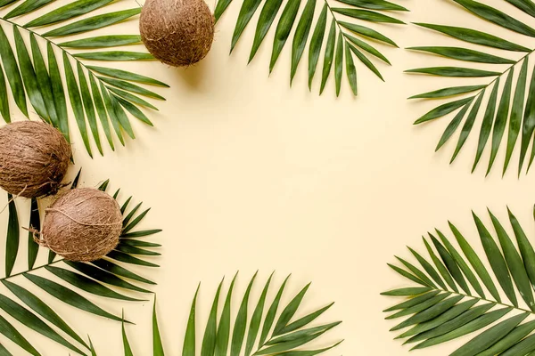 Tropisch groene bladeren palmbladeren en kokosnoten geïsoleerd op gele achtergrond. het appartement lag, bovenaanzicht — Stockfoto