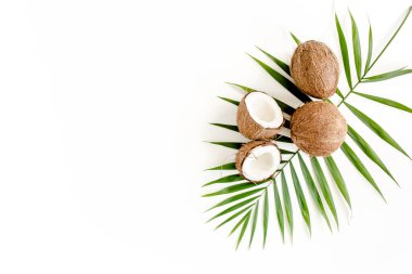 Tropik yeşil palmiye yaprağı ve beyaz arka planda çatlak hindistan cevizi. Doğa konsepti. düz yatış, üst görünüm