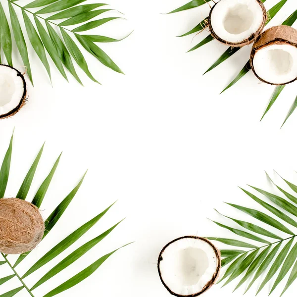 Тропический зеленый пальмовый лист и треснувший кокос на белом фоне. Концепция природы. плоский, вид сверху — стоковое фото