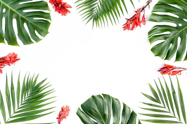 Ramka z egzotycznych tropikalnych liści palmy potwór na białym tle. Płaskie ułożenie, widok z góry. — Zdjęcie stockowe
