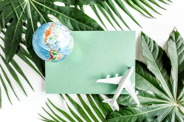 Feuilles de palmier tropical Aralia, papier blanc, avion modèle blanc, avion sur fond blanc. Concept de nature tropicale. — Photo