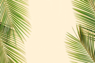 Sarı arka planda tropikal yaprak. Düz yatış, üst görünüm