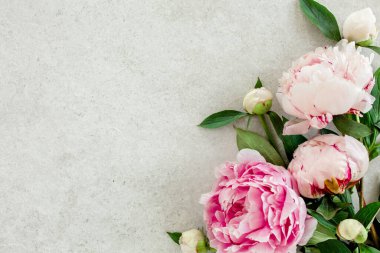 Gri taş masanın üzerinde güzel pembe şakayık çiçekleri ve metin için fotokopi alanı. Düz stil, üst görünüm