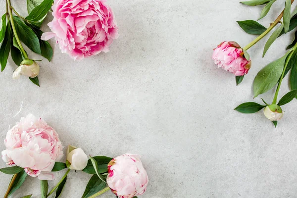 Telaio fatto di peonie rosa fiore su sfondo grigio. Posa piatta, vista dall'alto. Telaio di fiori. — Foto Stock