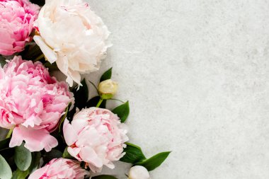 Gri arkaplanda pembe şakayık çiçeğinden yapılmış bir çerçeve. Düz yerde, üst tarafta. Çiçek çerçevesi.